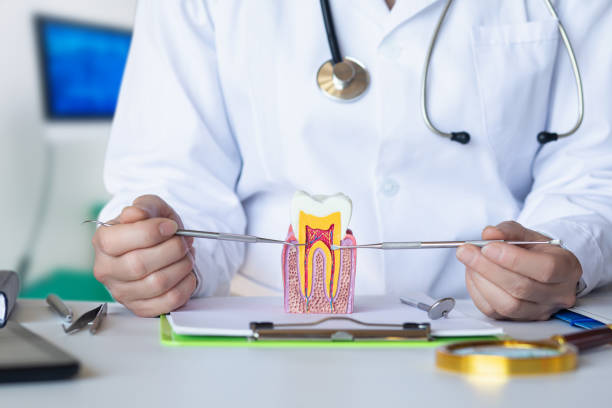 Best Emergency Broken Tooth Repair in Dayton, WA
